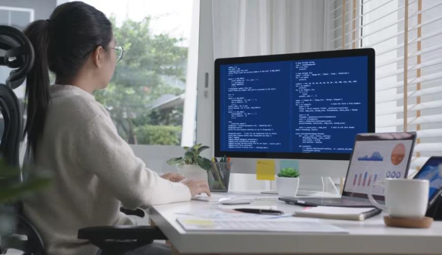 西双软件开发公司实战建议:网站赋能,为何必须接入支持机器人?